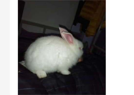 ����ϴ��󷢶���ô�죿����ϴ���ɪɪ������