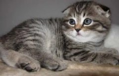 ĸèʲôʱ ĸè6~8¾