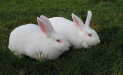 ����ϴ��󷢶���ô�죿����ϴ��