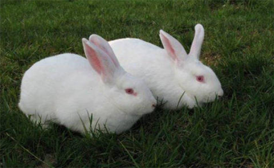 ����ϴ��󷢶���ô�죿����ϴ���ɪɪ������