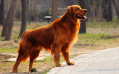 ��ë��Ȯ�߶�����ô����