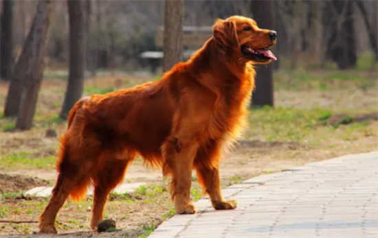 ��ë��Ȯ�߶�����ô����