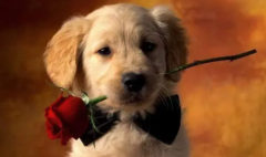 �����ë����ʱӦ��ע��ʲô