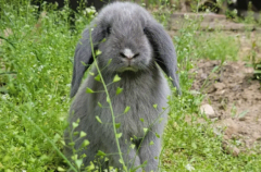 ��ô���������ӣ�ע��������ʲô��