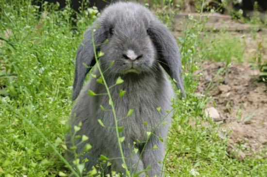 ��ô���������ӣ�ע��������ʲô��