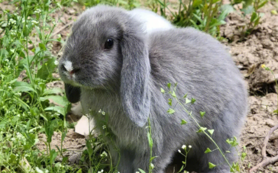 ��ô���������ӣ�ע��������ʲô��