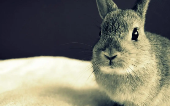 �����ڲ���������������ô�죿���������ڲ�����й��