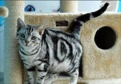 ĸèе֢״ ĸèʲô֢״