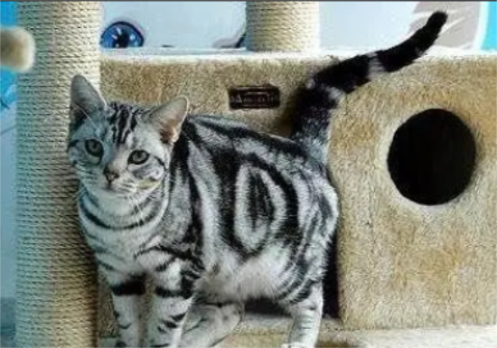 ĸèе֢״ ĸèʲô֢״