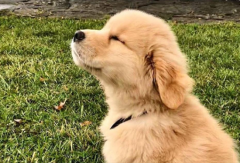 ��ë�Ժ��ܲ�����ô����