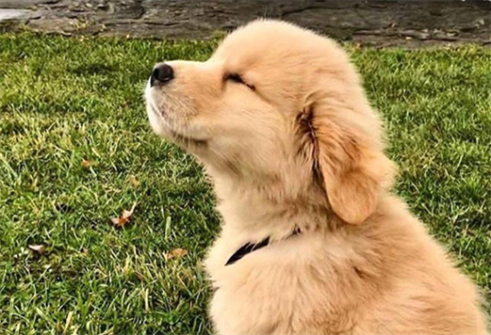 ��ë�Ժ��ܲ�����ô����