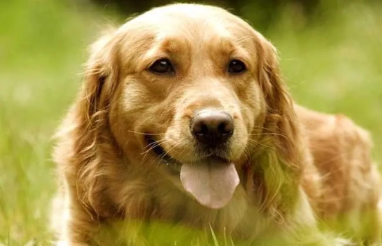 ��ëȮ���ճ�����