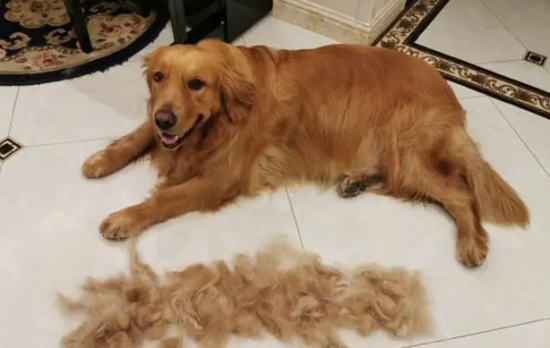 ��ë��һ�λ�ë������೤ʱ����