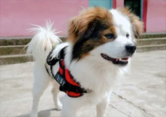 �������ӳ�ʲôҩ��