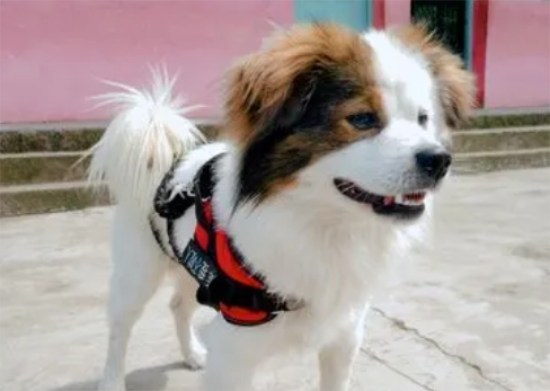 �������ӳ�ʲôҩ��