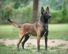 ѵ����Ȯ��򵥵İ취��ʲô