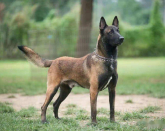 ѵ����Ȯ��򵥵İ취��ʲô