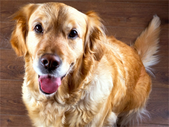 ��ë�����¿�����¥��