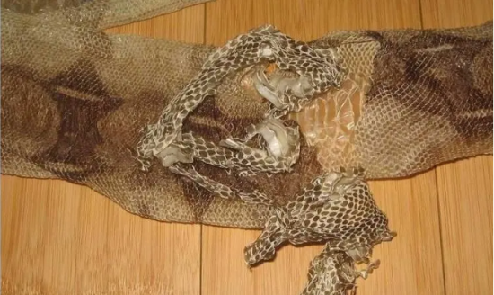 ���﷢����Ƥ��ô����