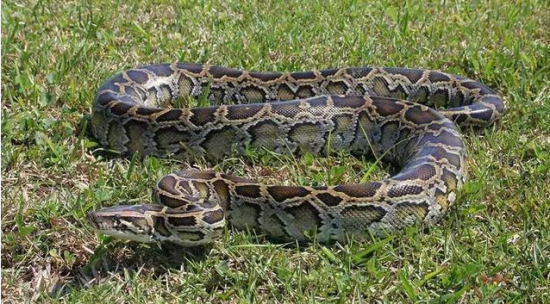 ���������˻���������