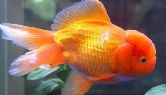 ��ײ����ô����