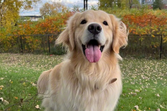 ��ë�����ӵ�ԭ��