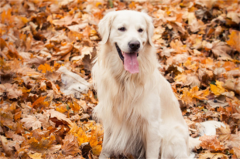 ��ë���Ը��ص���ô��