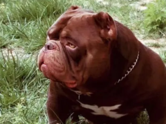 ���Ȯ�м���Ʒ�֣�