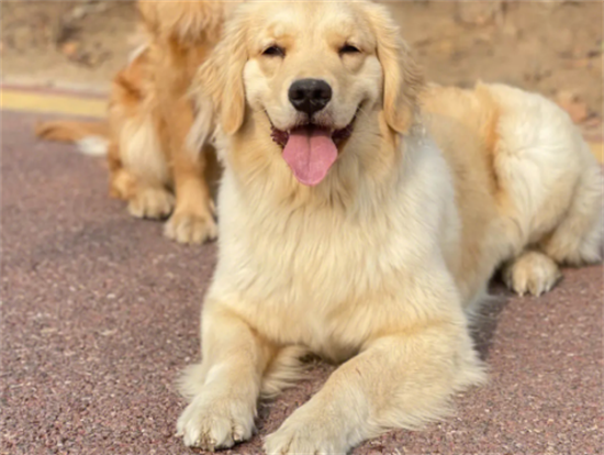 ��ô����ë�᳤��̫����