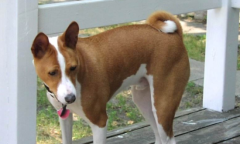 ��������涣ҧ��ô��