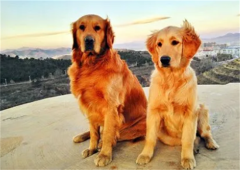 ��ë���Ŷ��²��ܰ�������