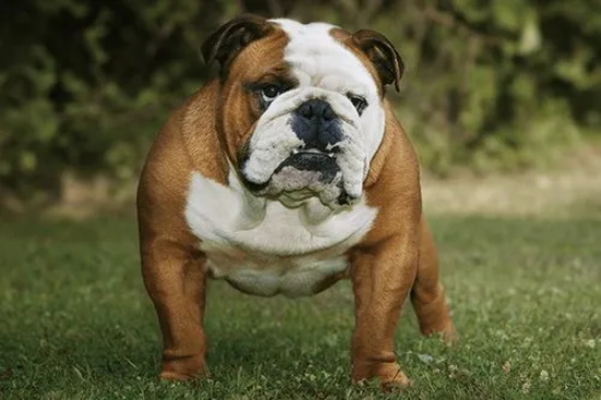 ��������������ô���£�