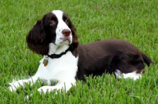 ���������Ƥ��������Щ��