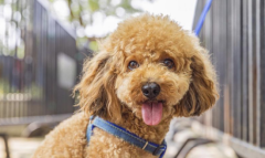 ��ô��ѵ�����Ȯվ�����ߣ�