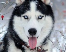 ��ô����ʿ��ϴ��