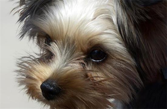 ѩ����ĺ�����ôϴ�� ѩ�������ϴ�׷���