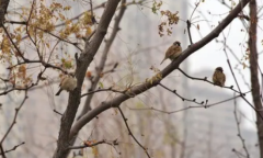 ũ�峣������50��