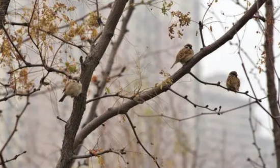 ũ�峣������50��