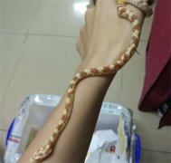 Ů��ϲ����������������