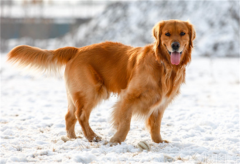 ��ë����Ҫ��ô��������