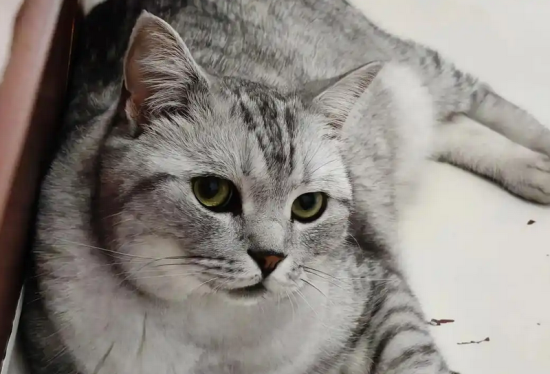 è���Ȳ��ֲ�������ô����ʲôҩ