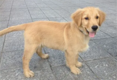 С��ë�������ô����