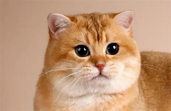 �۶�è�Ը��ص���ʲô?