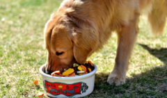 �������ëȮ��������