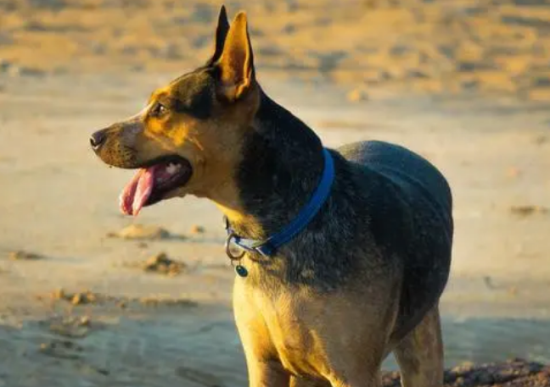 ��������Ȯ��ôѵ��