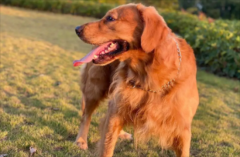 ��ëȮƢ���Ը���ô��ѽ