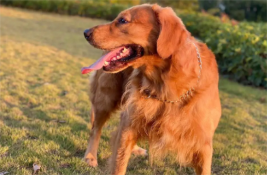 ��ëȮƢ���Ը���ô��ѽ