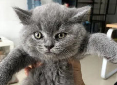 ��èץ����ô�죬�����·�������