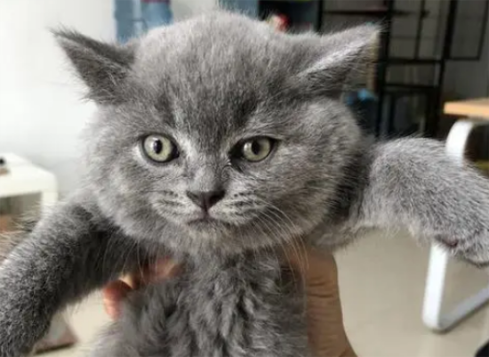 ��èץ����ô�죬�����·�������