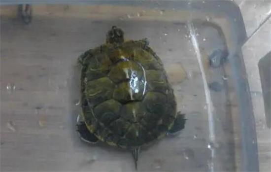 Ů�����ڹ�������������